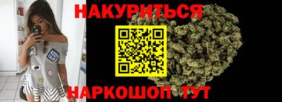 Альфа ПВП Кандалакша
