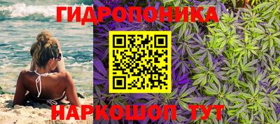 синтетический гашиш Камышлов
