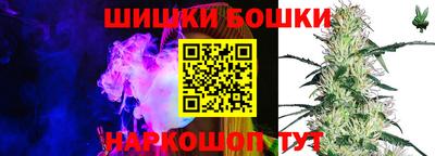 Альфа ПВП Кандалакша