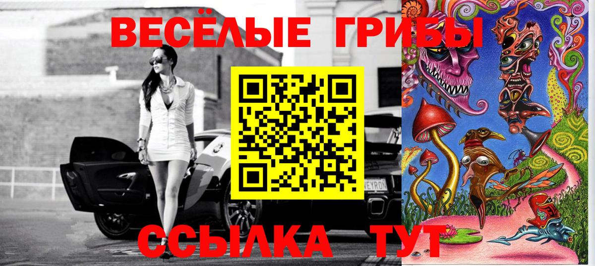 Псилоцибиновые грибы Cubensis  Вход с VPN  Псилоцибиновые грибы Cubensis  Кызыл 