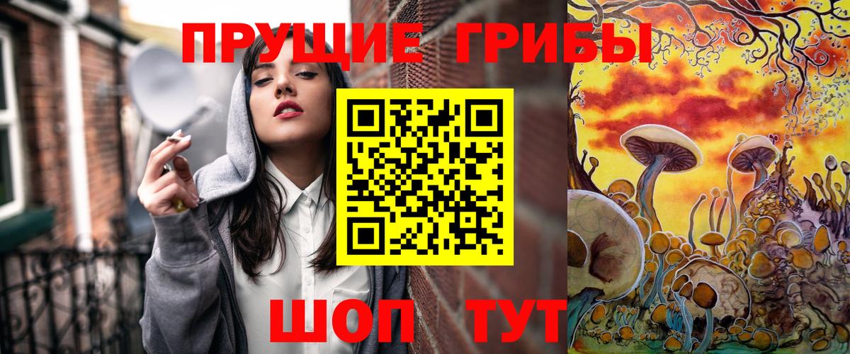 Псилоцибиновые грибы прущие грибы Кызыл